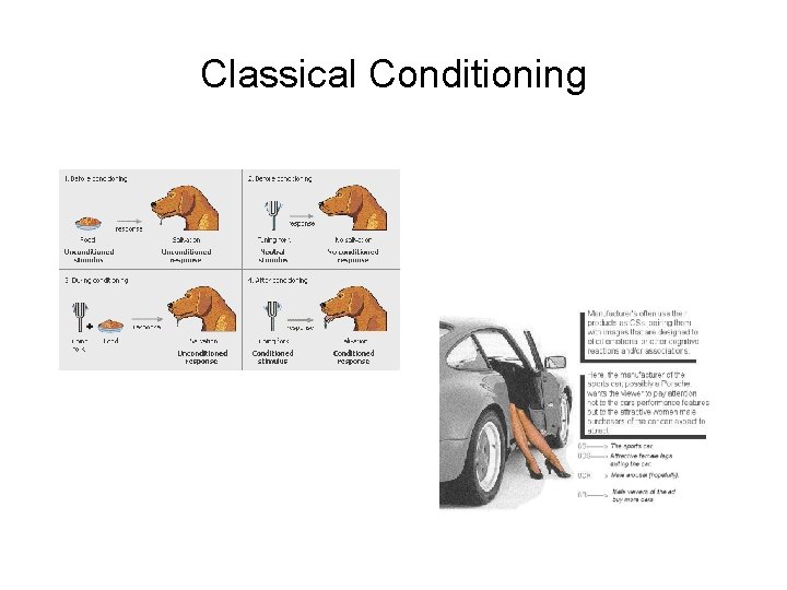 Classical Conditioning 