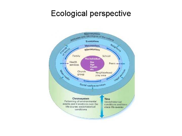Ecological perspective 
