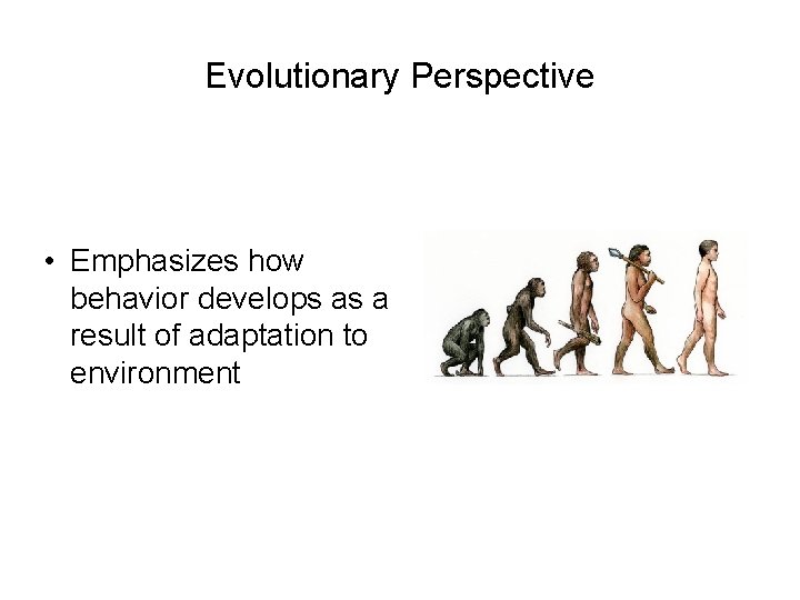 Evolutionary Perspective • Emphasizes how behavior develops as a result of adaptation to environment