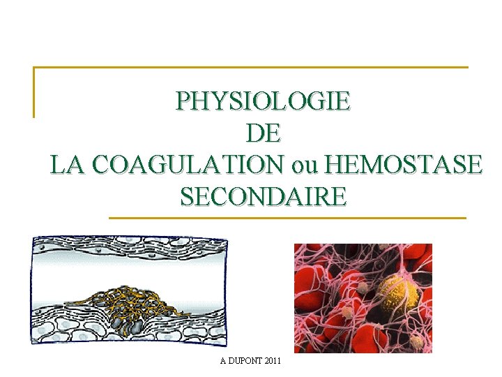 PHYSIOLOGIE DE LA COAGULATION ou HEMOSTASE SECONDAIRE A DUPONT 2011 