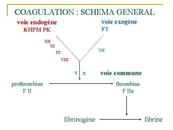 COAGULATION : SCHEMA GENERAL voie exogène voie endogène FT KHPM PK XII XI VII