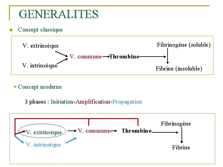 GENERALITES n Concept classique Fibrinogène (soluble) V. extrinsèque V. commune Thrombine V. intrinsèque Fibrine