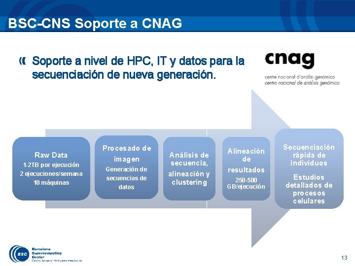 BSC-CNS Soporte a CNAG Soporte a nivel de HPC, IT y datos para la
