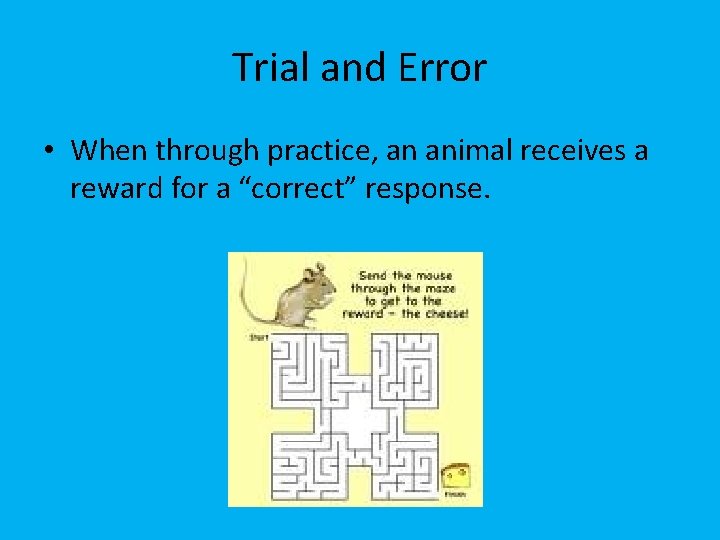 Trial and Error • When through practice, an animal receives a reward for a