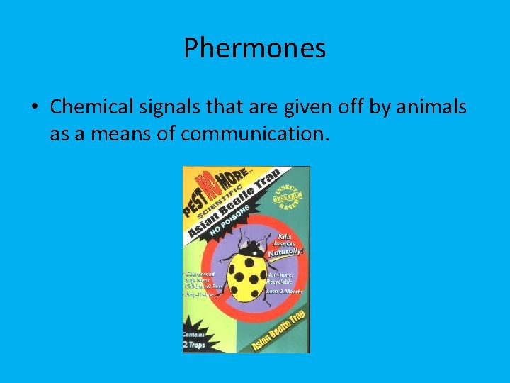 Phermones • Chemical signals that are given off by animals as a means of