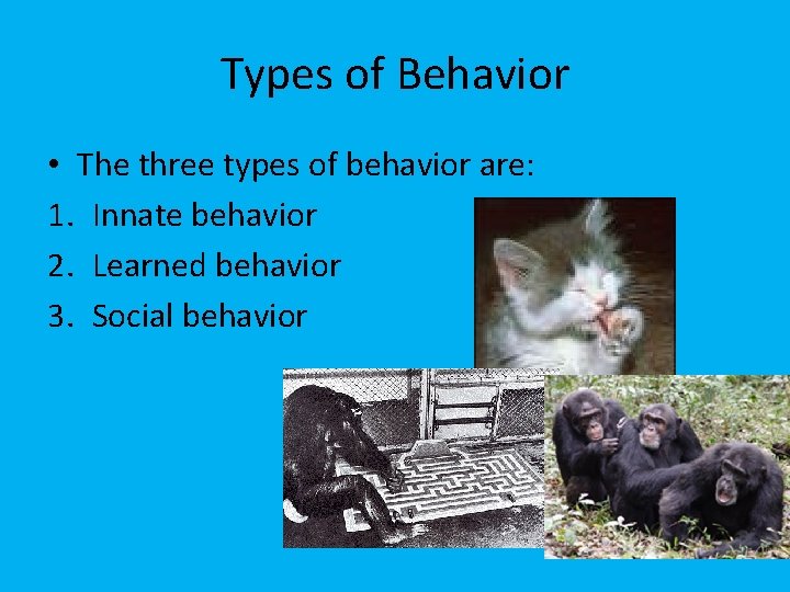 Types of Behavior • The three types of behavior are: 1. Innate behavior 2.