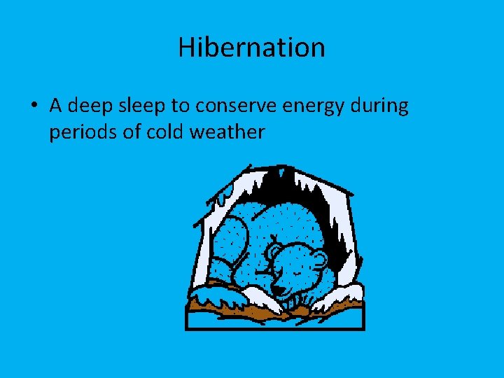 Hibernation • A deep sleep to conserve energy during periods of cold weather 