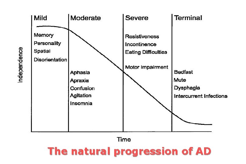 The natural progression of AD 