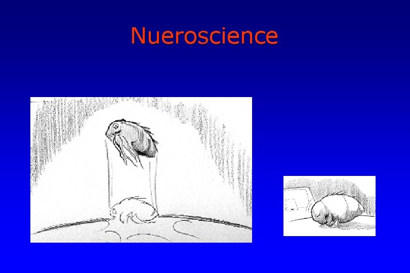 Nueroscience 