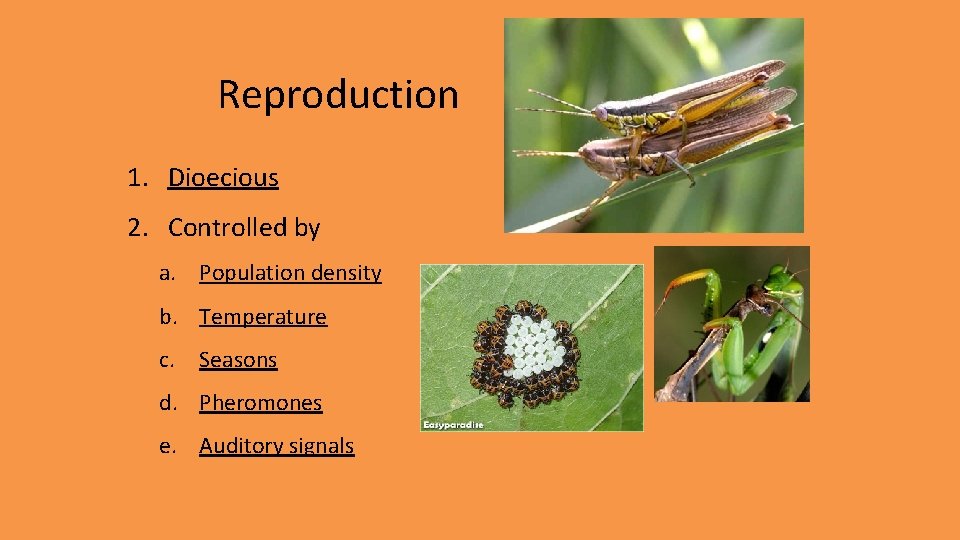 Reproduction 1. Dioecious 2. Controlled by a. Population density b. Temperature c. Seasons d.