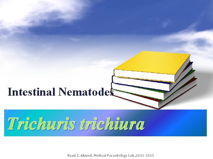 Intestinal Nematodes Trichuris trichiura Raed Z. Ahmed, Medical Parasitology Lab. , 2012 -2013 