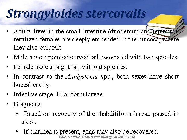 Strongyloides stercoralis • Adults lives in the small intestine (duodenum and jejunum), fertilized females