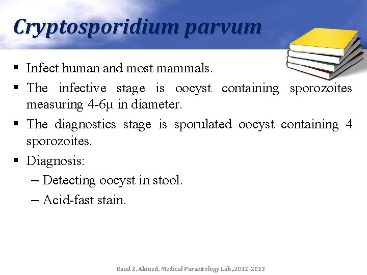 Cryptosporidium parvum § Infect human and most mammals. § The infective stage is oocyst