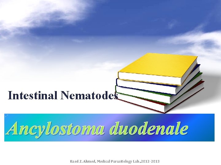 Intestinal Nematodes Ancylostoma duodenale Raed Z. Ahmed, Medical Parasitology Lab. , 2012 -2013 