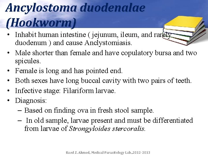 Ancylostoma duodenalae (Hookworm) • Inhabit human intestine ( jejunum, ileum, and rarely duodenum )