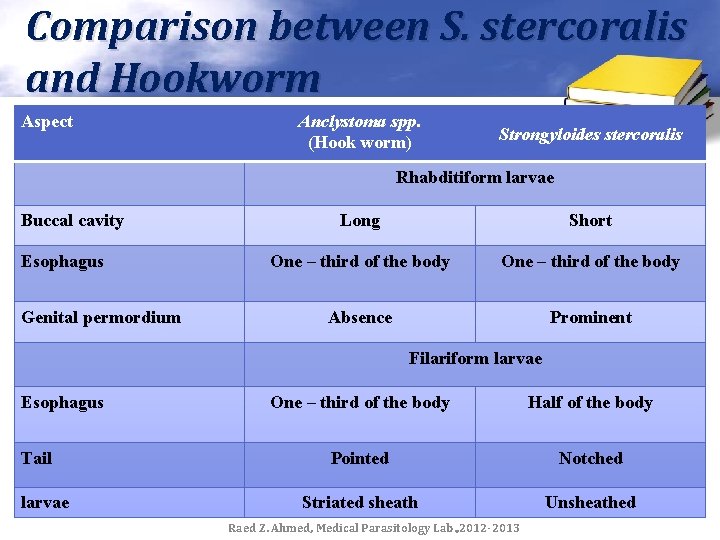 Comparison between S. stercoralis and Hookworm Aspect Anclystoma spp. (Hook worm) Strongyloides stercoralis Rhabditiform