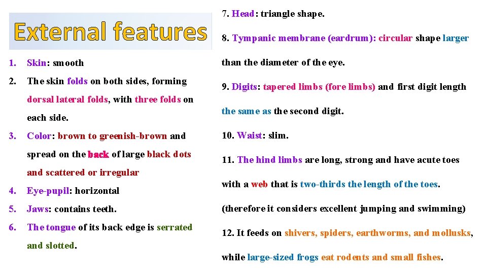 External features 1. Skin: smooth 2. The skin folds on both sides, forming 7.