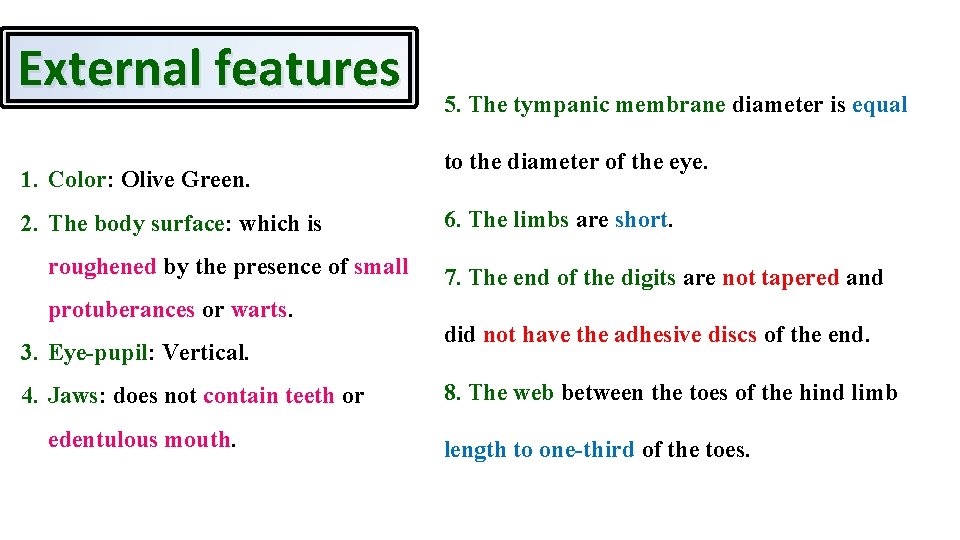 External features 1. Color: Olive Green. 2. The body surface: which is roughened by