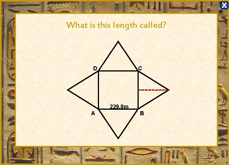 X What is this length called? D C 229. 8 m A B X What is this length called? D C 229. 8 m A B