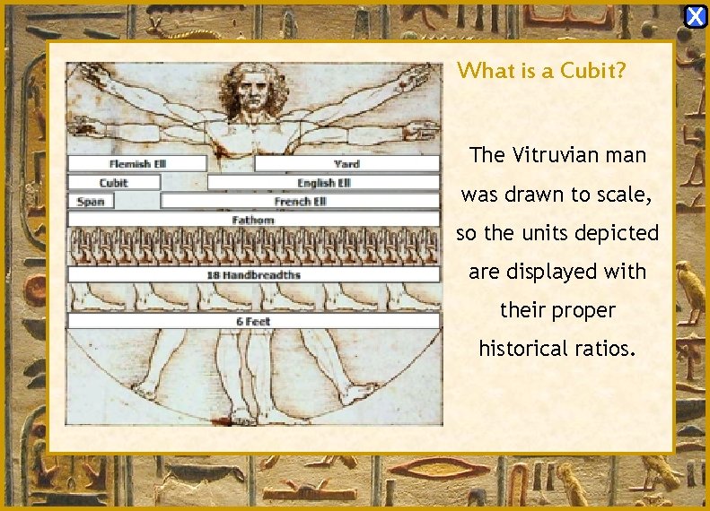 X What is a Cubit? The Vitruvian man was drawn to scale, so the X What is a Cubit? The Vitruvian man was drawn to scale, so the