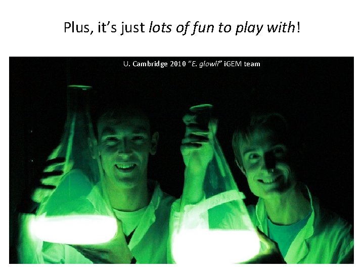Plus, it’s just lots of fun to play with! U. Cambridge 2010 “E. glowli”