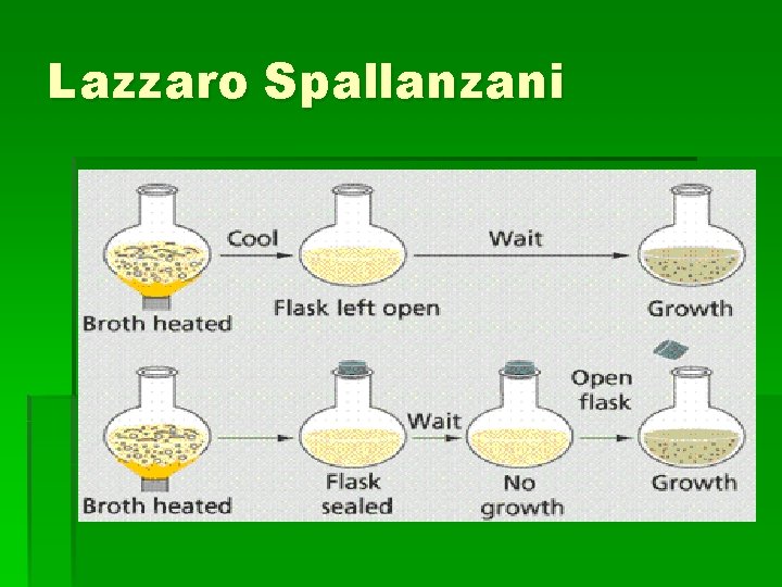 Lazzaro Spallanzani 