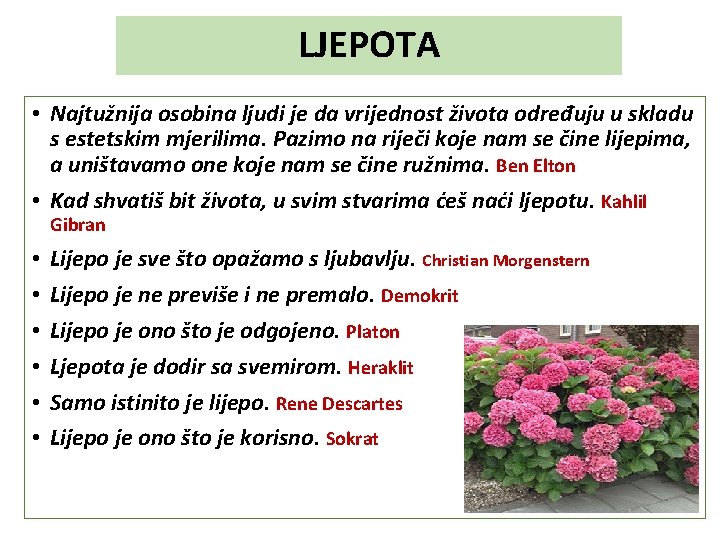 LJEPOTA • Najtužnija osobina ljudi je da vrijednost života određuju u skladu s estetskim