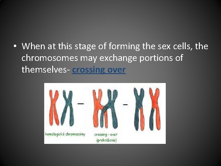  • When at this stage of forming the sex cells, the chromosomes may