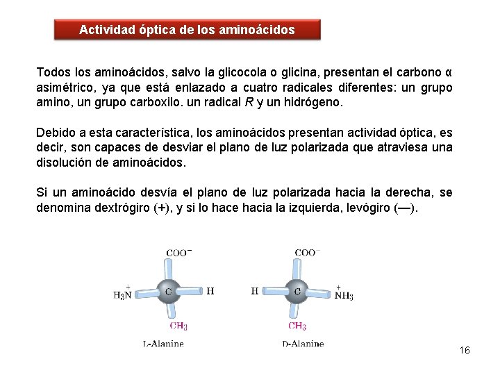 Actividad óptica de los aminoácidos Todos los aminoácidos, salvo la glicocola o glicina, presentan