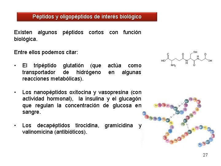 Péptidos y oligopéptidos de interés biológico Existen algunos péptidos cortos con función biológica. Entre