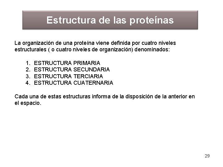 Estructura de las proteínas La organización de una proteína viene definida por cuatro niveles