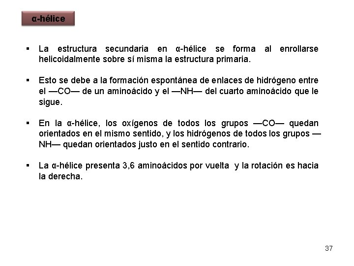 α-hélice § La estructura secundaria en α-hélice se forma al enrollarse helicoidalmente sobre sí