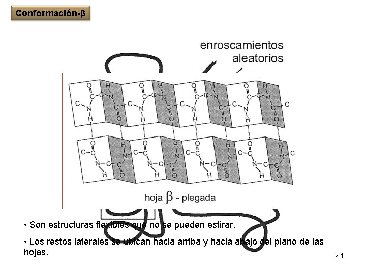 Conformación-β • Son estructuras flexibles que no se pueden estirar. • Los restos laterales