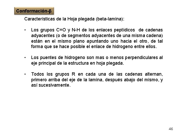 Conformación-β Características de la Hoja plegada (beta-lamina): • Los grupos C=O y N-H de