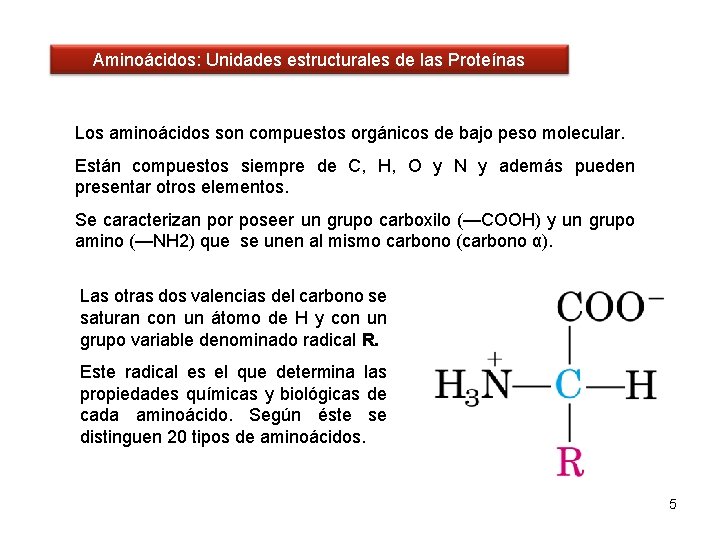 Aminoácidos: Unidades estructurales de las Proteínas Los aminoácidos son compuestos orgánicos de bajo peso