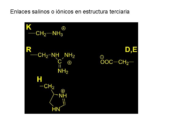 Enlaces salinos o iónicos en estructura terciaria 