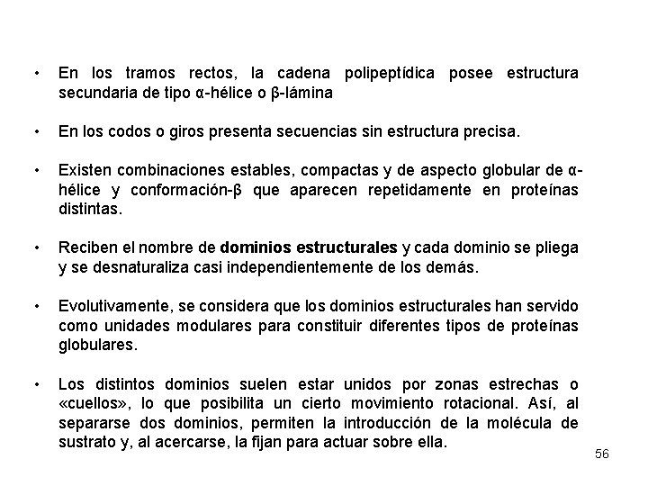  • En los tramos rectos, la cadena polipeptídica posee estructura secundaria de tipo