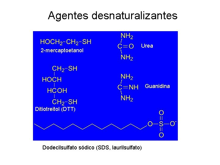 Agentes desnaturalizantes 2 -mercaptoetanol Urea Guanidina Ditiotreitol (DTT) Dodecilsulfato sódico (SDS, laurilsulfato) 