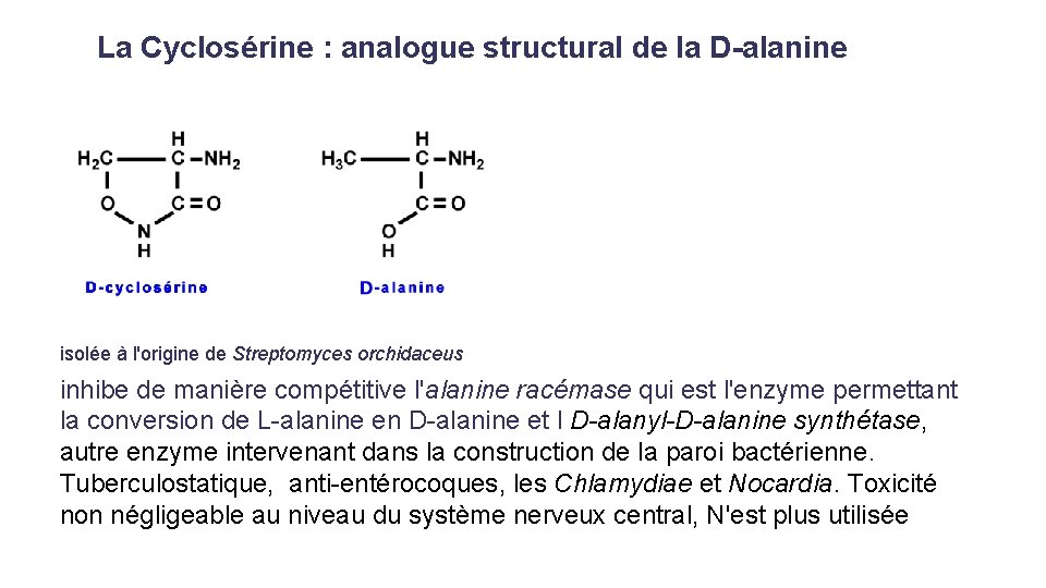 La Cyclosérine : analogue structural de la D-alanine isolée à l'origine de Streptomyces orchidaceus