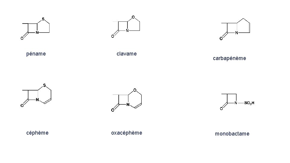 péname clavame céphème oxacéphème carbapénème monobactame 