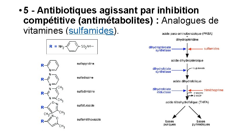  • 5 - Antibiotiques agissant par inhibition compétitive (antimétabolites) : Analogues de vitamines