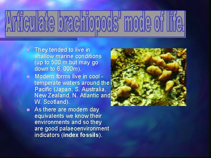 They tended to live in shallow marine conditions (up to 500 m but may