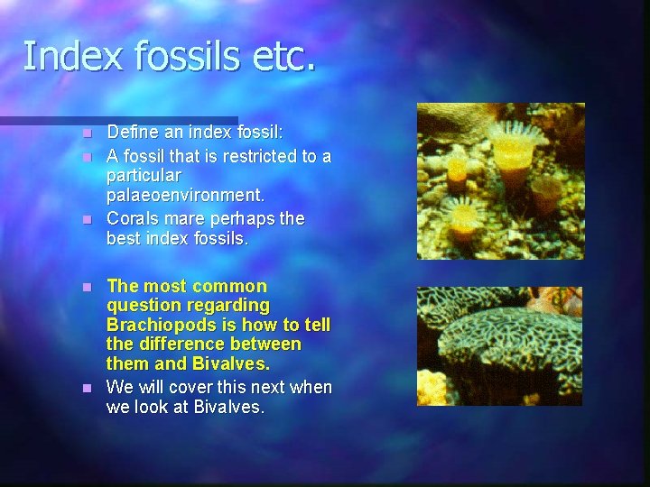Index fossils etc. Define an index fossil: n A fossil that is restricted to