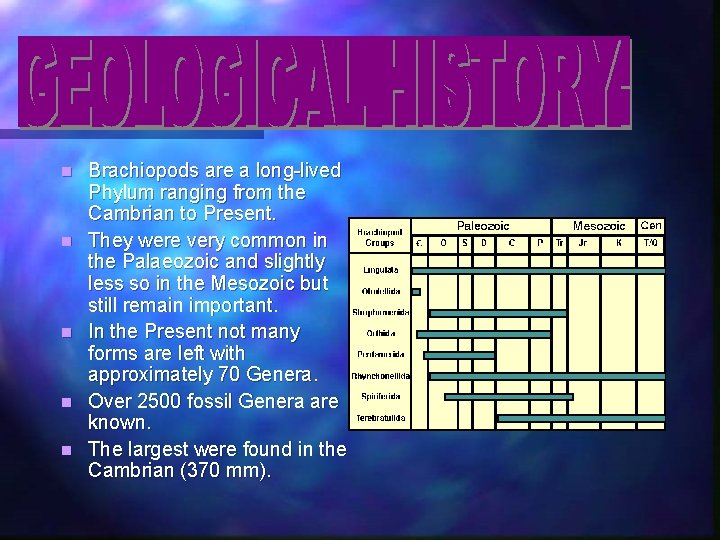 n n n Brachiopods are a long-lived Phylum ranging from the Cambrian to Present.