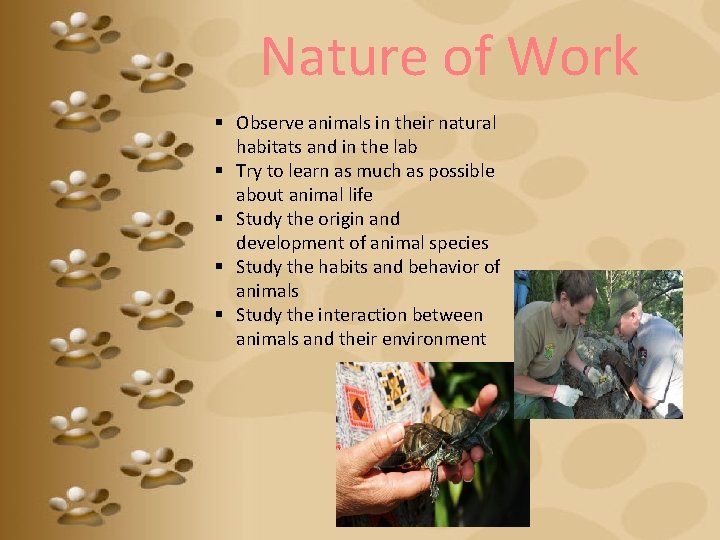 Nature of Work § Observe animals in their natural habitats and in the lab