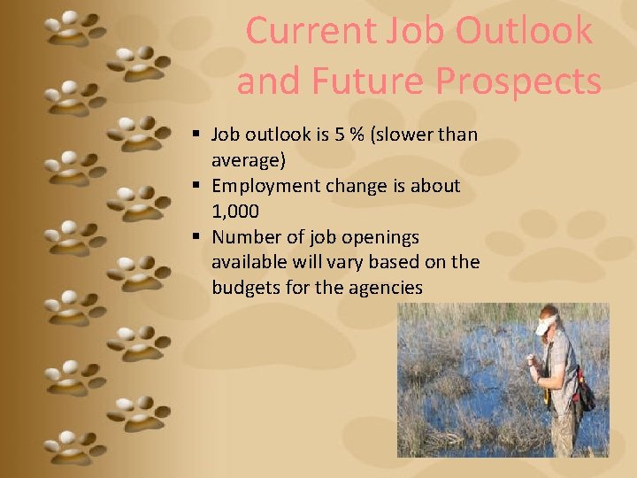 Current Job Outlook and Future Prospects § Job outlook is 5 % (slower than