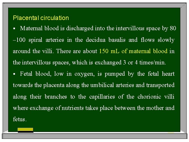 Placental circulation § Maternal blood is discharged into the intervillous space by 80 –