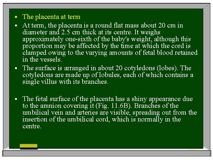 The placenta at term At term, the placenta is a round flat mass about