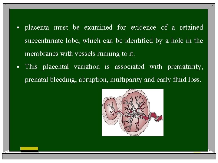 § placenta must be examined for evidence of a retained succenturiate lobe, which can