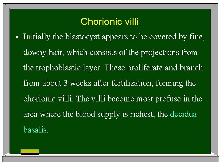 Chorionic villi § Initially the blastocyst appears to be covered by fine, downy hair,